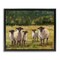 Stupell Industries Flock of Sheep Painting Framed Floater Canvas Wall Art